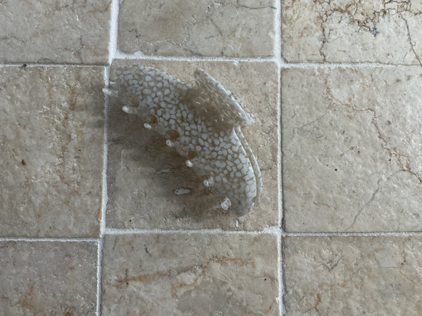 SPECKLED CLIP