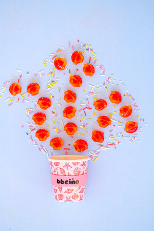 SHELLIE 120ML