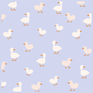 BLUE DUCKS BLANKET