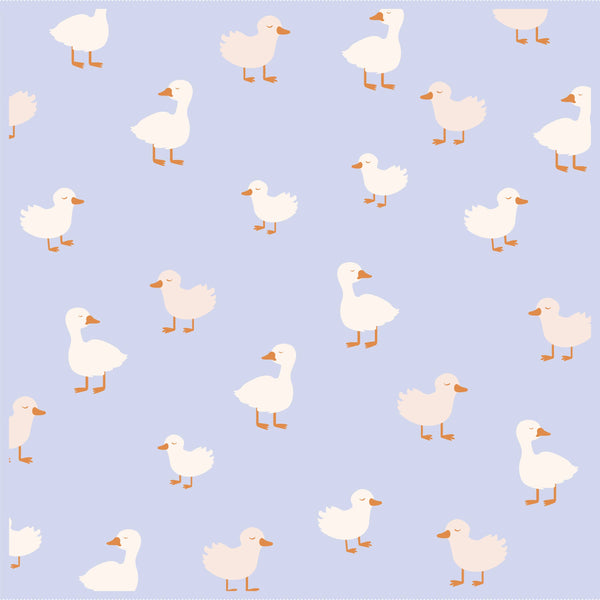 BLUE DUCKS BLANKET
