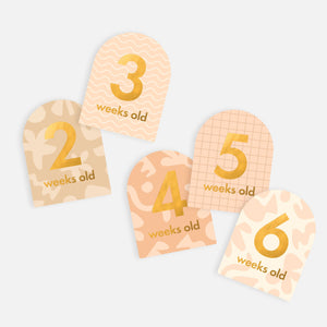 BABY MILESTONE CARDS