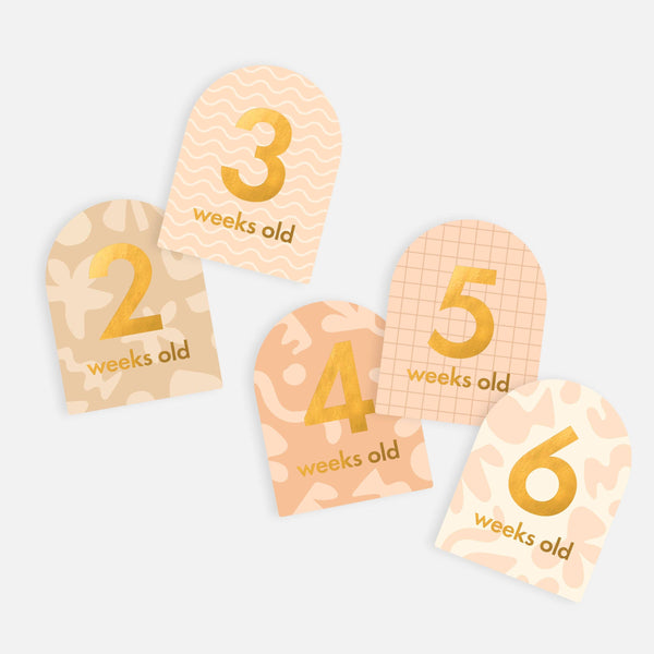 BABY MILESTONE CARDS