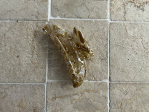 MARBLE CLIP
