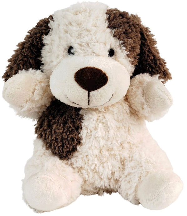 DOG TEDDY