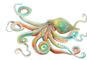 ARCOIRIS OCTOPUS