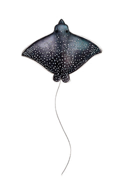 WHITESPOTTED EAGLE RAY