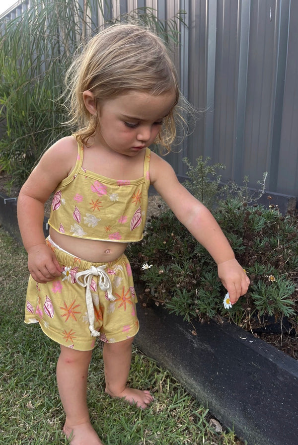 PLAY SET | GOLDEN SHELLS