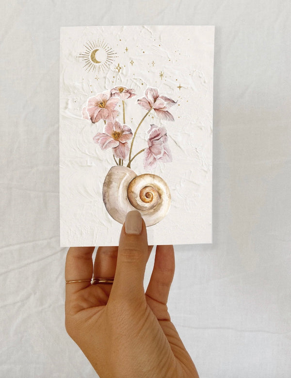 SEASHELLS & STARS II