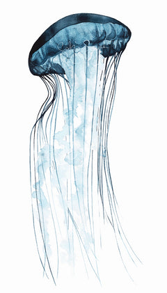 JELLYFISH