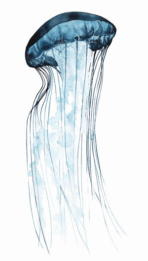 JELLYFISH