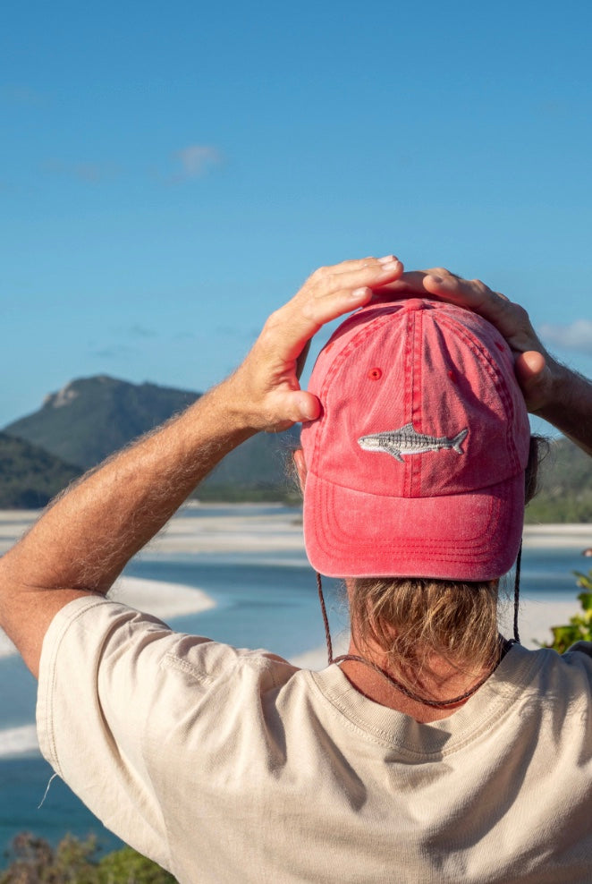 TIGER SHARK LID