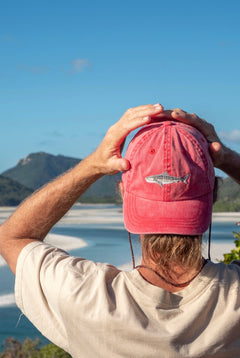 TIGER SHARK LID