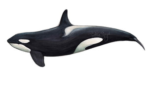 ORCA