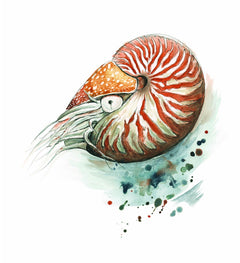 NAUTILUS