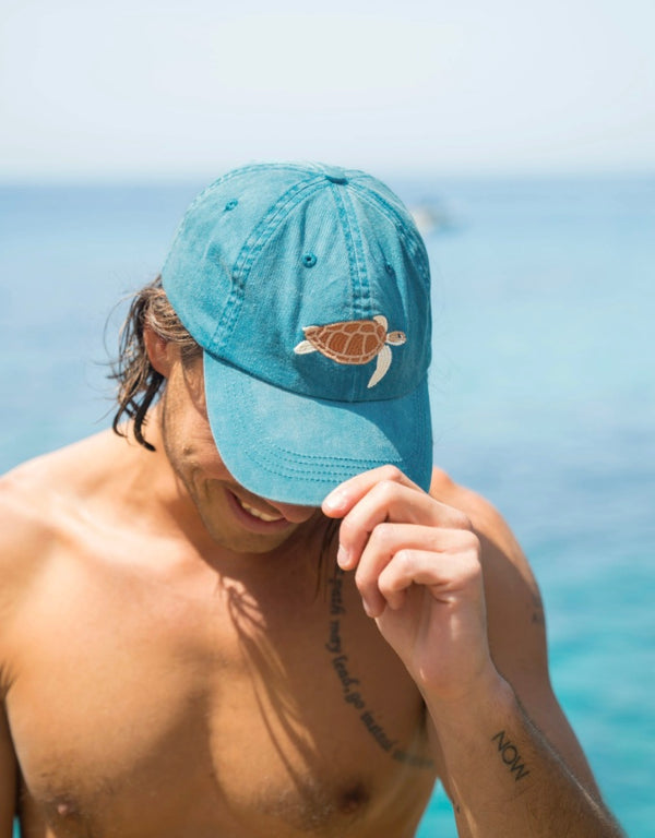 TURTLE LID