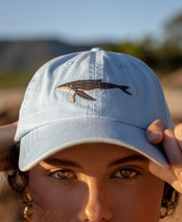 HUMPBACK WHALE LID
