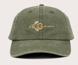 FLATHEAD LID