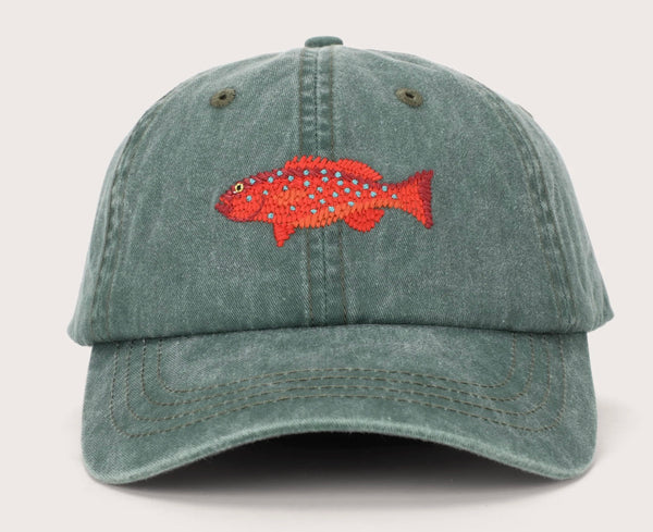 CORAL TROUT LID