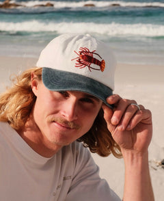 SOUTHERN ROCK LOBSTER LID