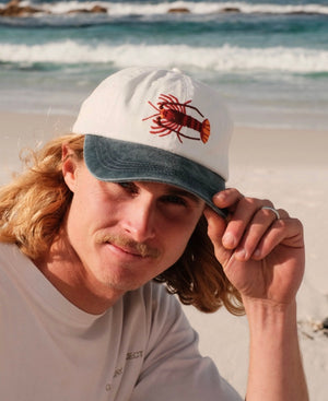 SOUTHERN ROCK LOBSTER LID