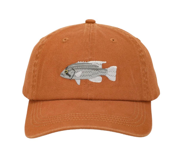 DHUFISH LID