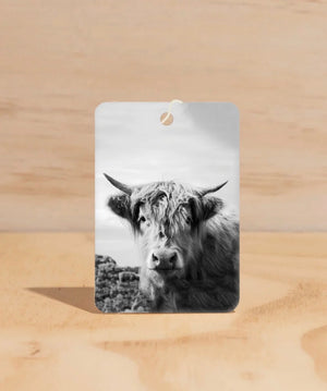COW | HUDSON VALLEY