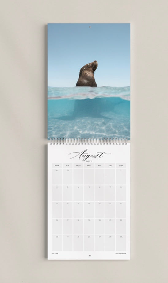 2027 CALENDAR