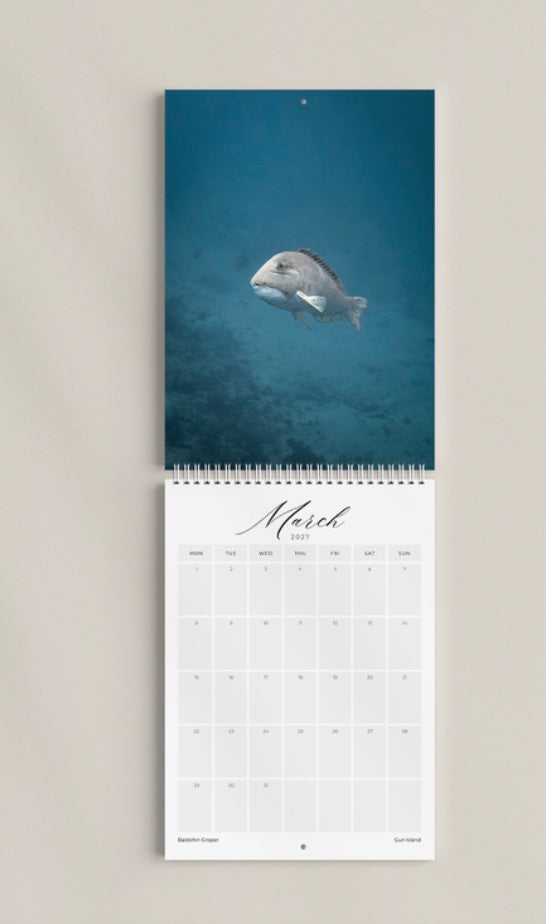 2027 CALENDAR