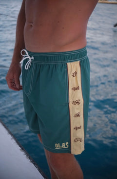 BARBED BOARDSHORTS
