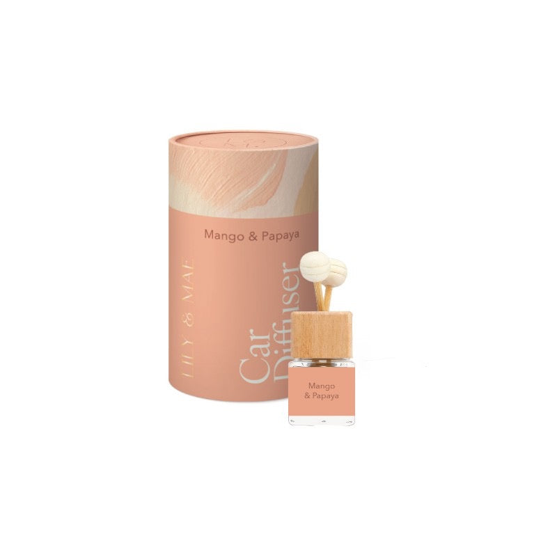 L&M CAR DIFFUSER