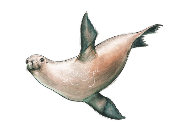 SEA LION