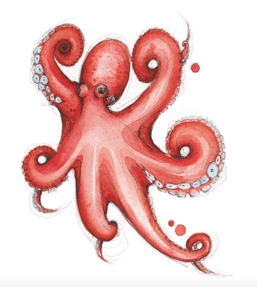 SENORITA ROJA OCTOPUS