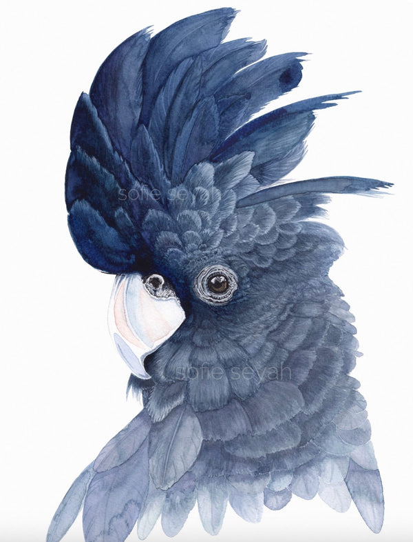 BUNJI BLACK COCKATOO GREETINGS CARD