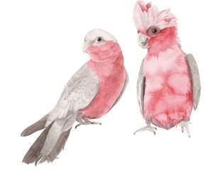 GALAHS