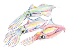 CALAMARI TRIO