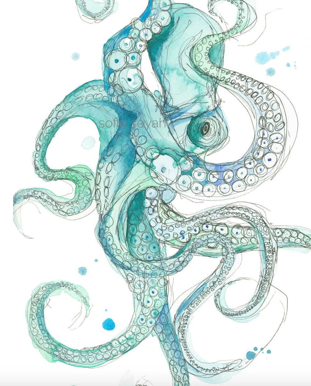 SENOR OCTOPUS