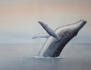 DAWN HUMPBACK
