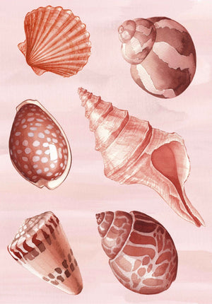 POCKET FULL OF SHELLS