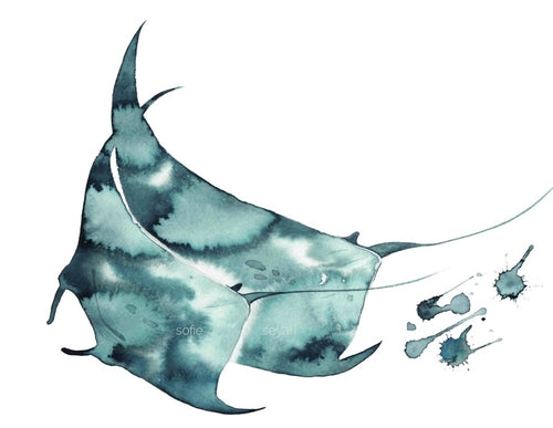 MANTARAYS