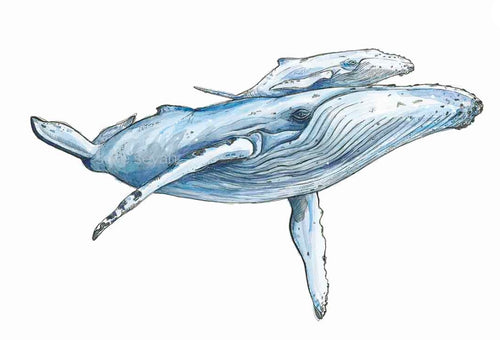 HUMPBACK WHALE MOTHER & CALF